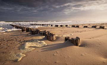 Verweerd Hout en Eeuwige Getijden: Tijdloze Fotokunst van de Nederlandse Kust van Hevonax Photography