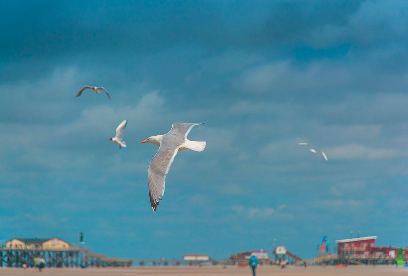 Sankt Peter-Ording strand van Christian Schmidt