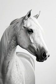 Edler Araber von ByNoukk