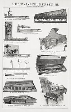 Antieke plaat Muziekinstrumenten III van Studio Wunderkammer