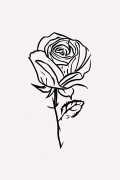 Schwarz-weiße minimalistische Strichzeichnung einer Rose von De Muurdecoratie