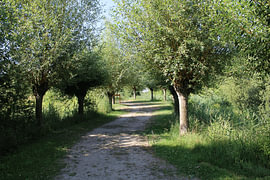 Serpentinenstraße von Joanne Tekent