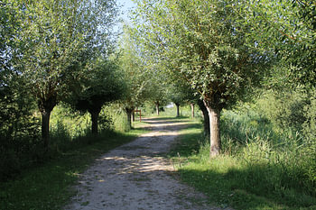 Winding Road