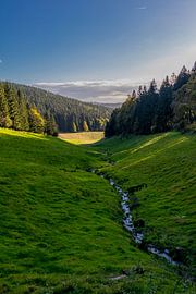 Herbstwanderung durch den Thüringer Waldes von Oliver Hlavaty