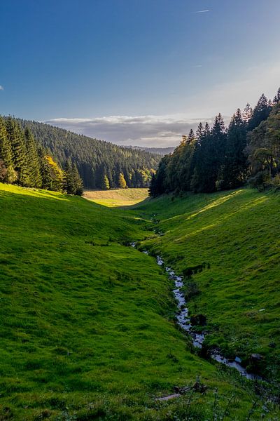 Autumn hike through the Thuringian Forest by Oliver Hlavaty