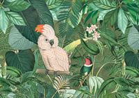 Jungle Friends