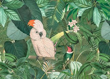 Jungle Friends van Andrea Haase