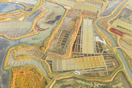 Salzpfannen in Frankreich