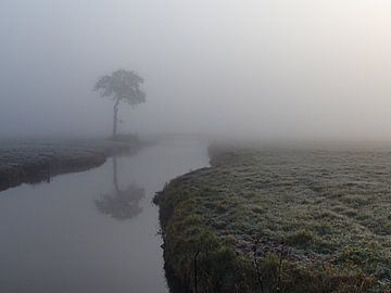 Brouillard dans le polder sur Frank Adelaar