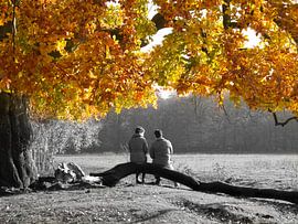 Herfstpracht by Ingrid Wilson