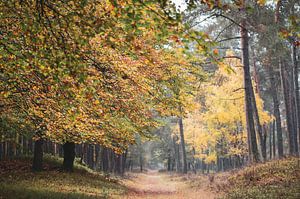Herbstfarben entlang des Weges