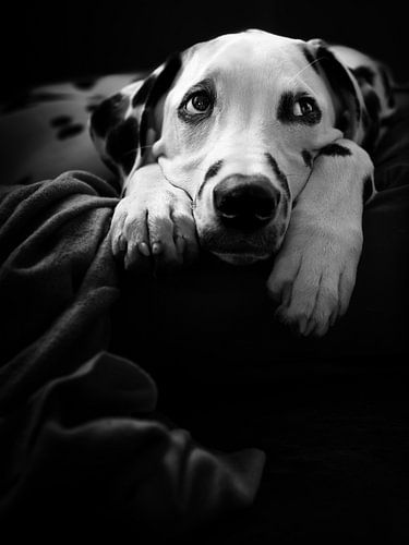 Es passiert nichts :-(