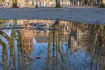 Die St. Johannes-Kathedrale in Den Bosch von Andrea Pijl - Pictures