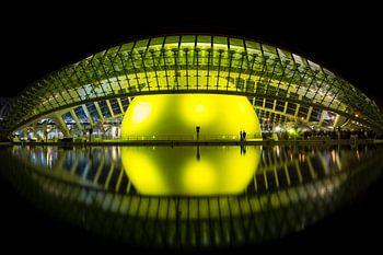 Das Auge in der Nacht