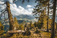 Ausblick Allgäuer Alpen von MindScape Photography Miniaturansicht