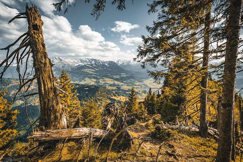 Ausblick Allgäuer Alpen von MindScape Photography