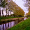 Bäume entlang des Grabens in Sint-Laureins (Belgien) von FotoGraaG Hanneke