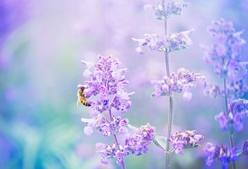 Wasp in a purple landscape by mirka koot