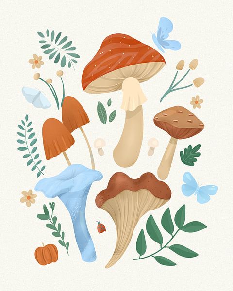 Fungi by Petra Lizde