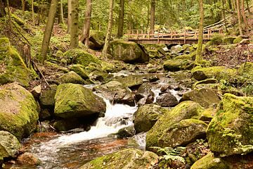 De rivier de Ilse in het Harz Nationaal Park van Heiko Kueverling