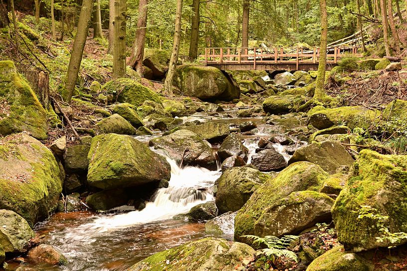 The river Ilse in the Harz National Park by Heiko Kueverling