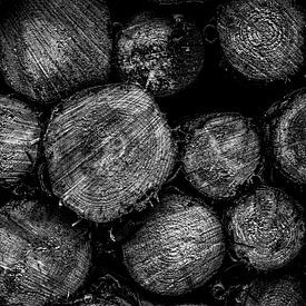 Verstilled Wood: Kreise der Zeit von Sándor Maszárik