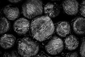 Verstild Hout: Cirkels van de Tijd