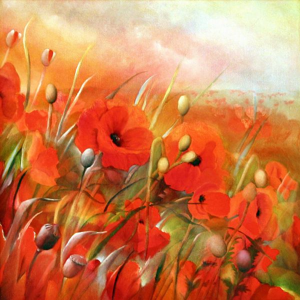 Mohnfelder von Annette Schmucker