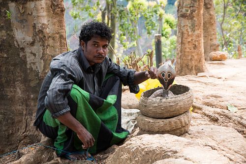 Snake charmer