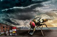 La curiosité de la mouche domestique par Erich Krätschmer Aperçu