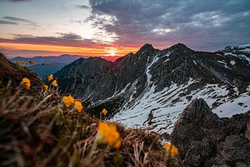 Zonsopgang boven de Boven Beierse Alpen van Leo Schindzielorz