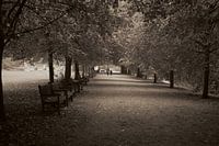 Kenwood in London