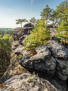 Lampertstein, Saxon Switzerland - Rock plateau Lampertshorn by Pixelwerk