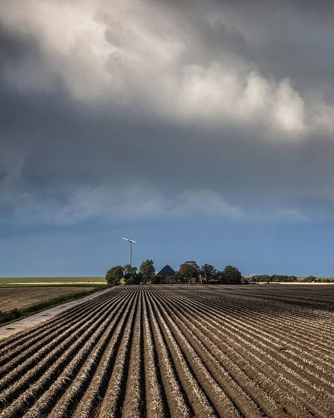 Lijnenpatroon aan de Friese Bildtdijk von Harrie Muis