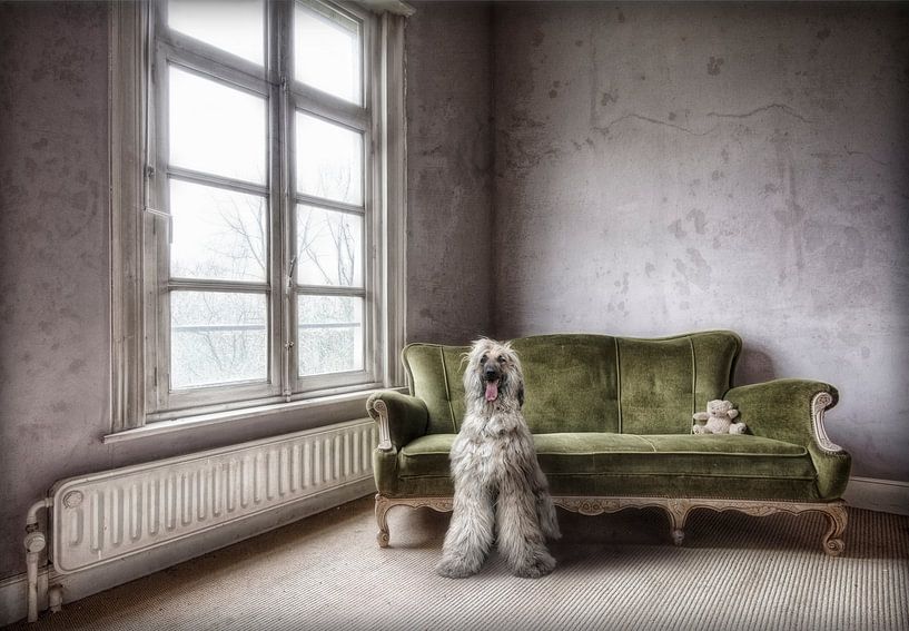 Hond in verlaten huis van Marcel van Balken
