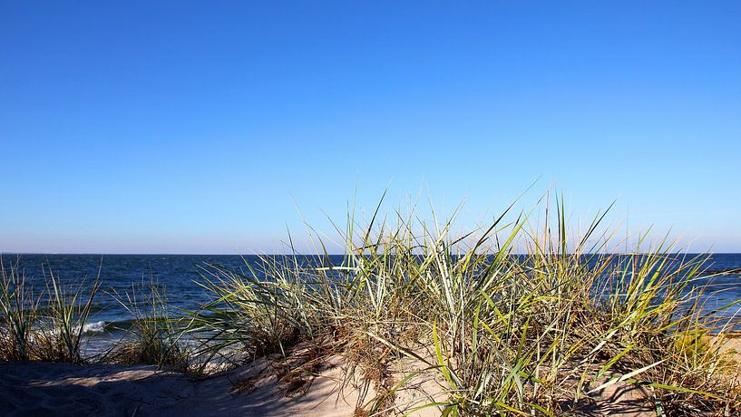 Dune landscape by Ostsee Bilder
