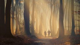 Lovers Lane von Maaike van Tol