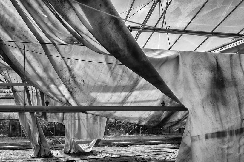 toile d'ombrage en serre par Eugene Winthagen