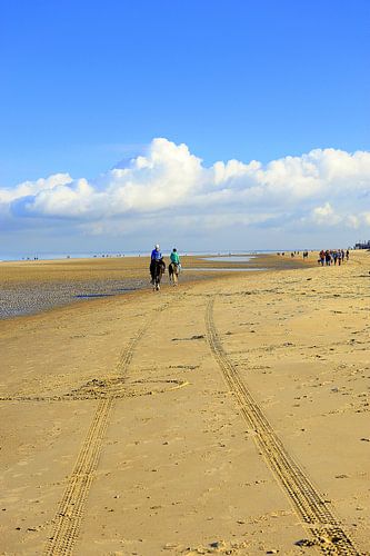 ruiters op Renesse strand