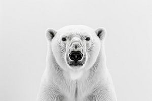 Eisbär - Schwarzweißfotografie für Arktisliebhaber