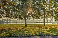 Rotterdam: Herfst bij de Kralingse Plas
