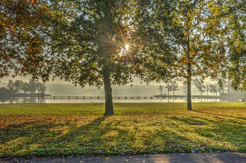 Rotterdam: Herbst beim Kralinger See von Frans Blok