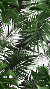 Is This Tropical or What?