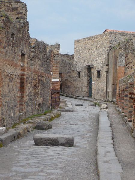 Landscape - Italy 2 par Lyn Van Veldhoven