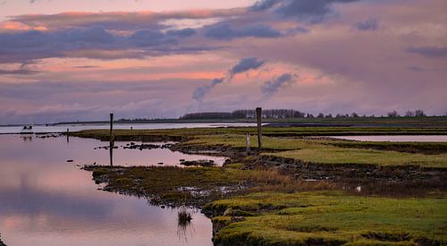 Schorren bij het voorland bij Nummer Een.
