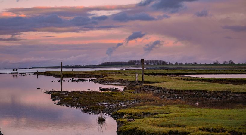 Schorren bij het voorland bij Nummer Een. van Martine Moens