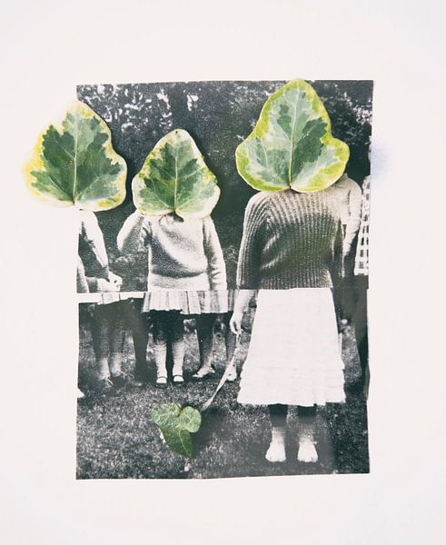 Collage Hedra von Karin van Bylevelt