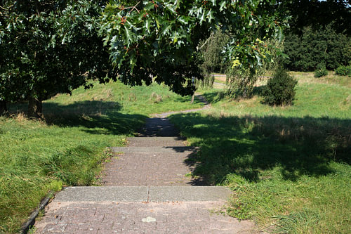 Ontdek de natuur in een bosrijk gebied in Emsland, Nedersaksen, Duitsland