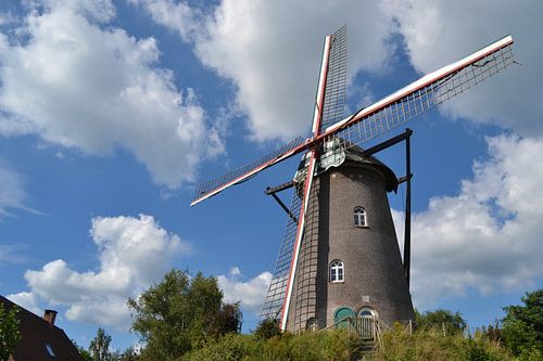 Salm-Salm Molen in Hoogstraten (België)