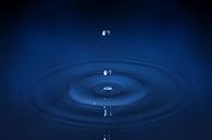 Water druppels blauw van Dennis van de Water thumbnail